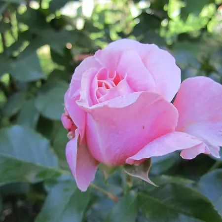 Διαμέρισμα Kernerapartement *