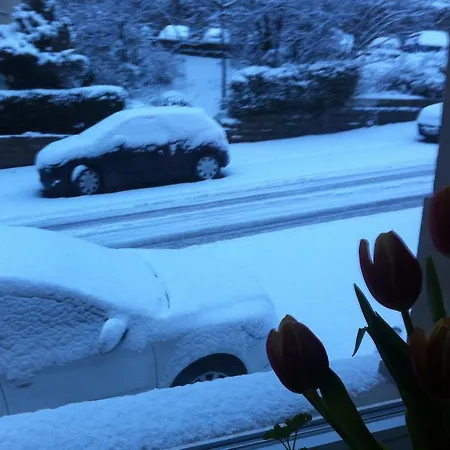 Lejlighed Kernerapartement